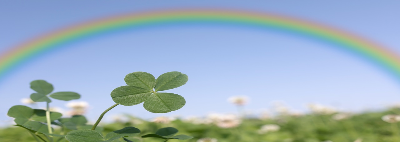 Clover with rainbow